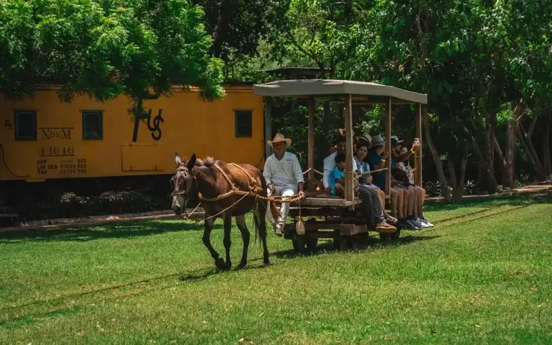 Circuito Península de Yucatán y Caribe: 14 Días de Aventura — foto 30