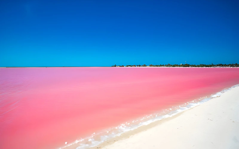 Tour a Las Coloradas y Río Lagartos — foto 2