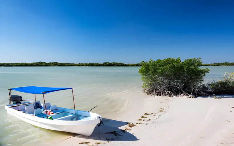 Tour a Las Coloradas y Río Lagartos — foto 4